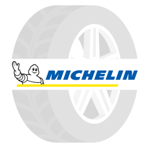 Michelin Pilot Sport EV 275/40R21 107 W